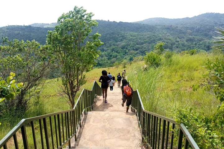 Full Day Shimba Hills Safari Wildlife and Sheldrick Falls