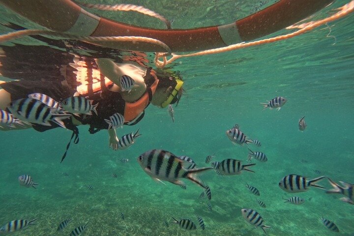 Koh Tao and Koh Nang Yuan Speedboat Tour from Koh Phangan