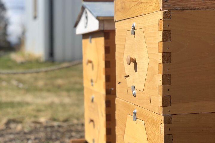 Okanagan Bee Tour and Lunch at Winery in Kelowna