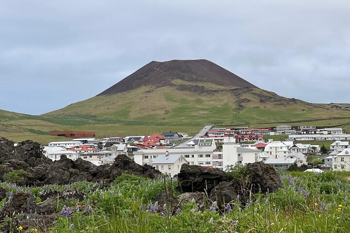 PRIVATE 2-Hours Tour - Westman Islands with a local in a BMW X5