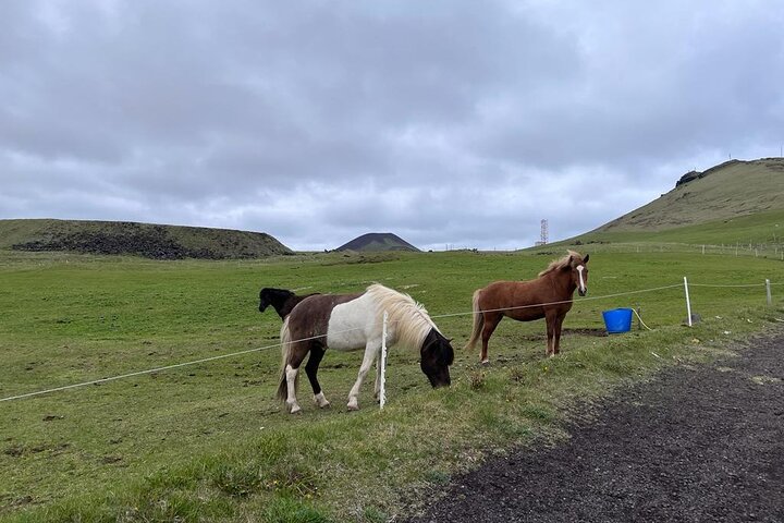 PRIVATE 2-Hours Tour - Westman Islands with a local in a BMW X5