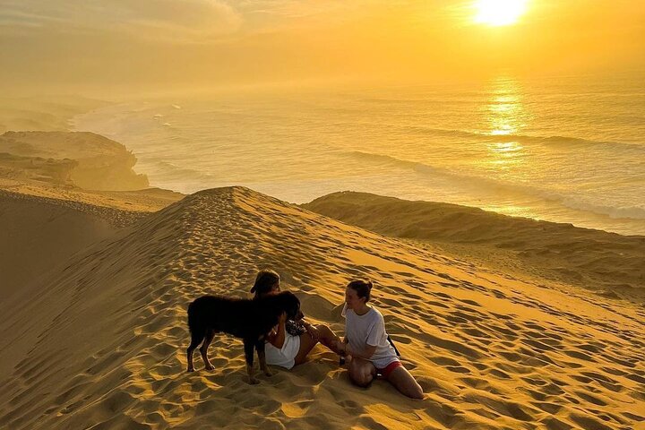 Best price SandBoarding guided experience in Agadir & Taghazout