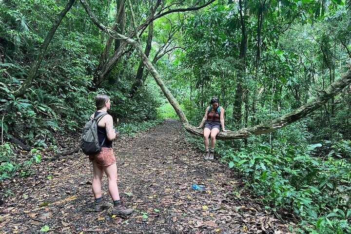 Soberania National Park Hike