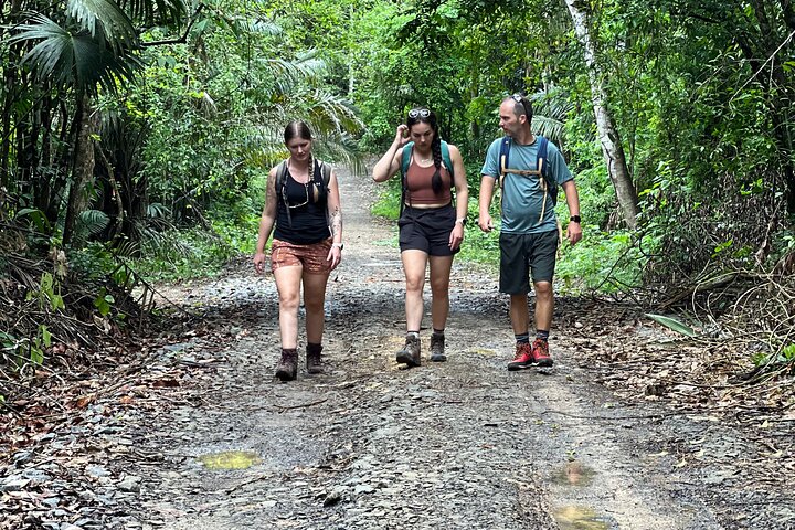 Soberania National Park Hike