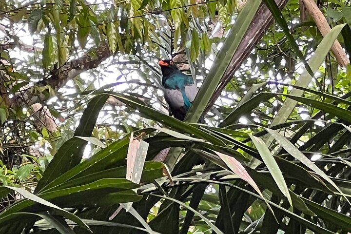 Soberania National Park Hike