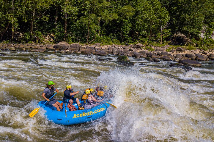 New River Gorge Whitewater Rafting, WV - Lower New Full Day
