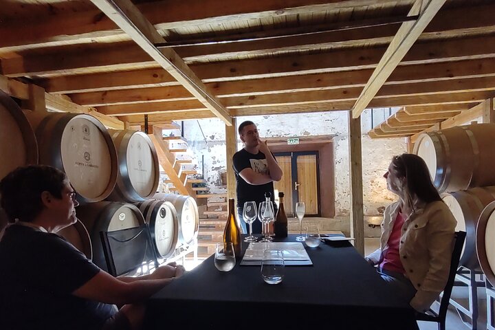 Private Tour to Serra Gaúcha Vineyards