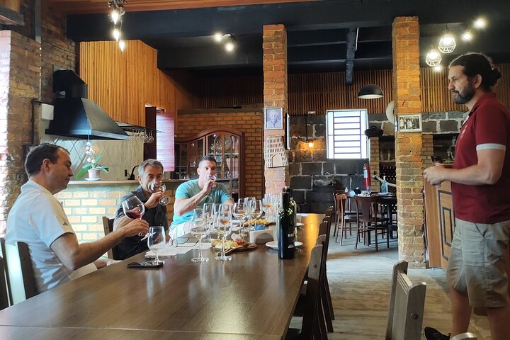 Private Tour to Serra Gaúcha Vineyards