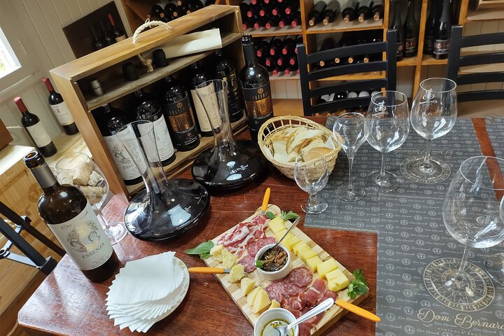Private Tour to Serra Gaúcha Vineyards