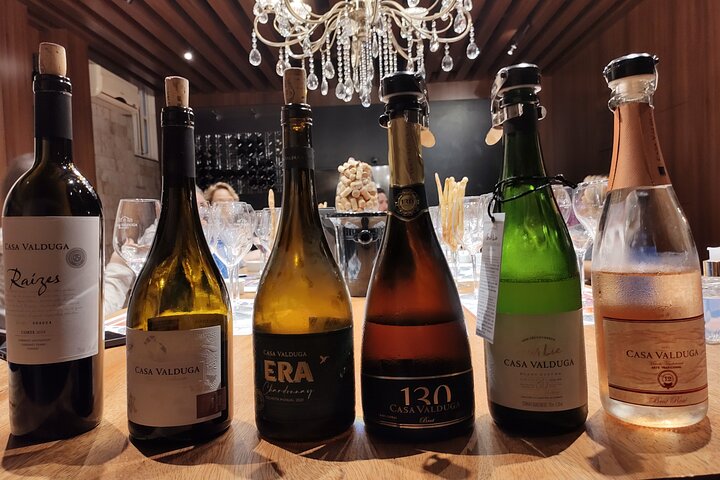Private Tour to Serra Gaúcha Vineyards