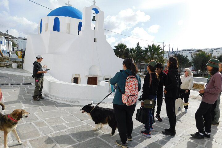 Ios Island Trekking Tours: Discover Ios Unexplored
