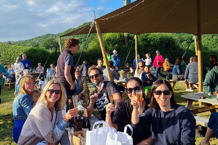 1.5-Hour Swanaford Vineyard Tour And Tasting Experience
