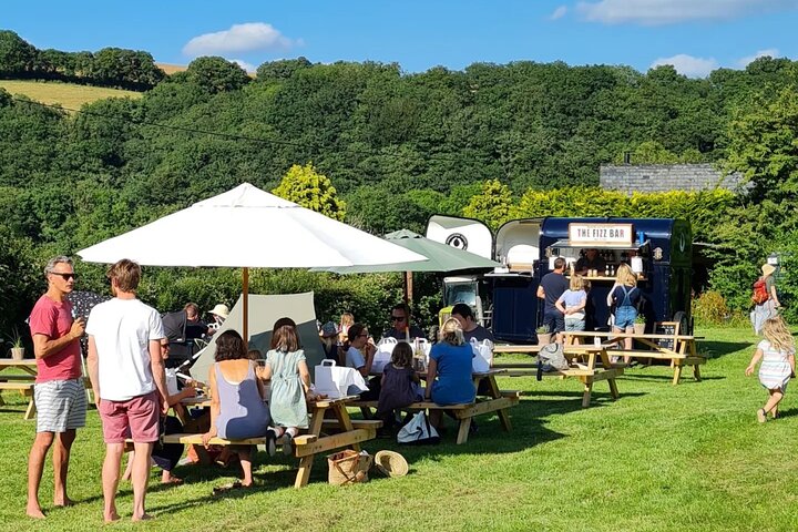 1.5-Hour Swanaford Vineyard Tour And Tasting Experience