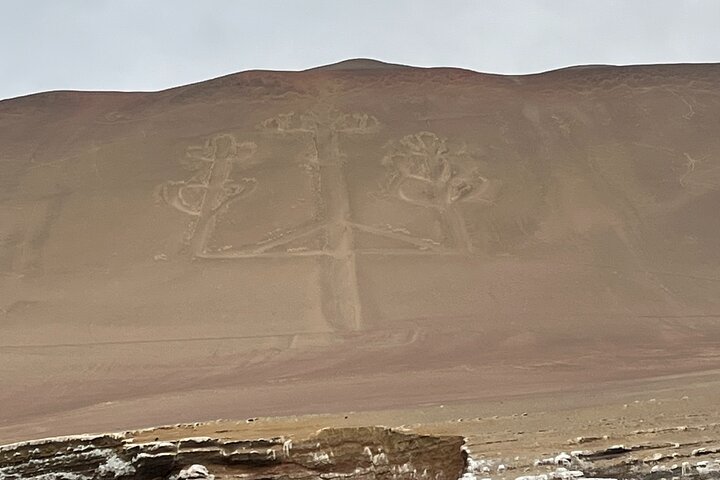 Paracas and Huacachina Exclusive Sunset Picnic Tour