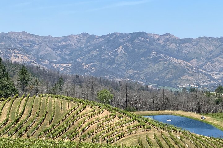 Best Private Wine Tour of Napa and Sonoma: Up to 8 People