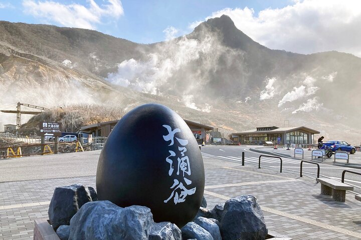 Mt. Fuji & Hakone Bus Tour Bullet Train Return & 28-Hotel Pick-up