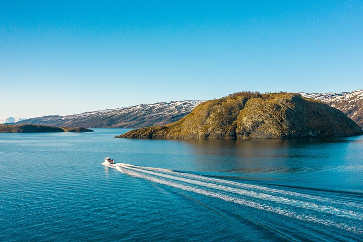 Alta: 2 Hours Guided Adventure Cruise in Alta Fjord