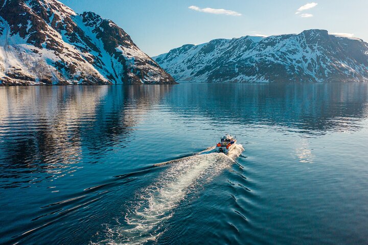 Alta: 2 Hours Guided Adventure Cruise in Alta Fjord