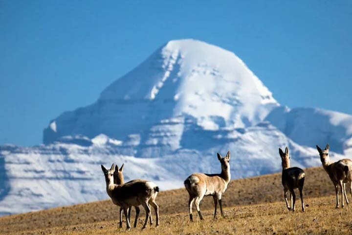 Tibet Tour 15 Days Lhasa to Kailash Trekking Small Group via EBC