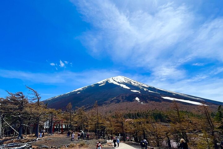 Mt. Fuji & Hakone Bus Tour Bullet Train Return & 28-Hotel Pick-up