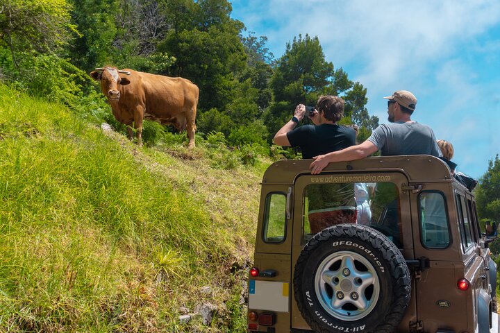 Porto Moniz, Seixal, Fanal Forest, Cliff Skywalk in Open Roof 4X4