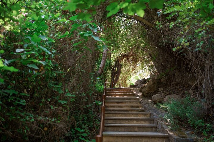 From Paphos: Aphrodite's Baths and Blue Lagoon (Akamas) Day Trip