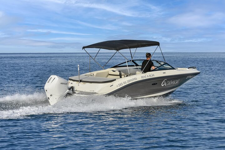 Dolphin Watching Sunset Speedboat Tour with Drinks in Rovinj