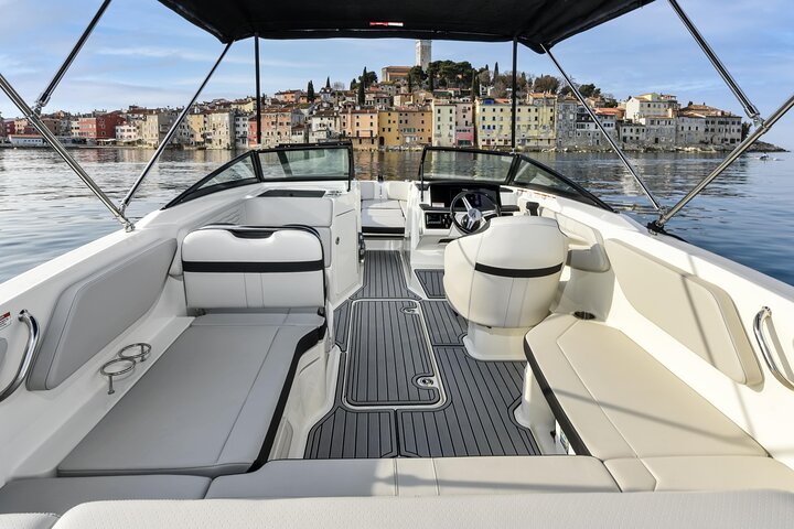 Dolphin Watching Sunset Speedboat Tour with Drinks in Rovinj