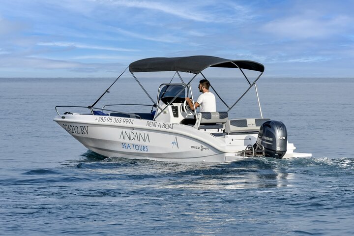 Dolphin Watching Sunset Speedboat Tour with Drinks in Rovinj