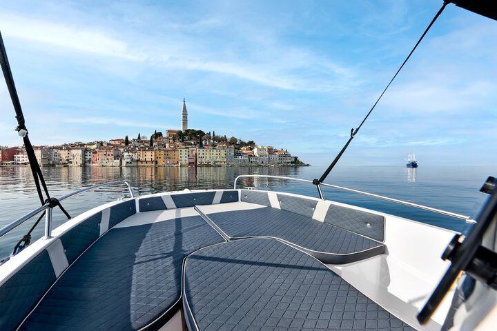 Dolphin Watching Sunset Speedboat Tour with Drinks in Rovinj
