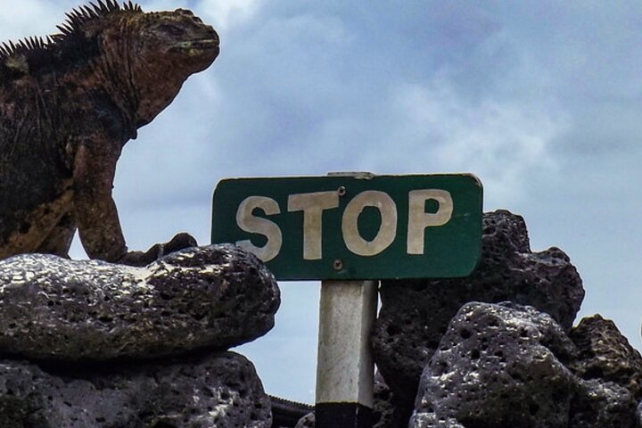 Lobos Island and Ochoa Beach Day Tour: Snorkeling & Wildlife