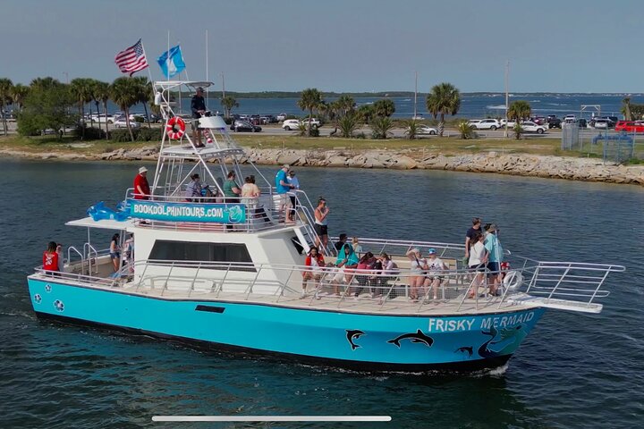 Shared Dolphin Cruise in Pensacola Beach | Frisky Mermaid