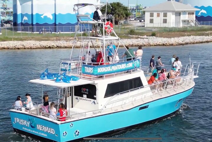 Shared Dolphin Cruise in Pensacola Beach | Frisky Mermaid