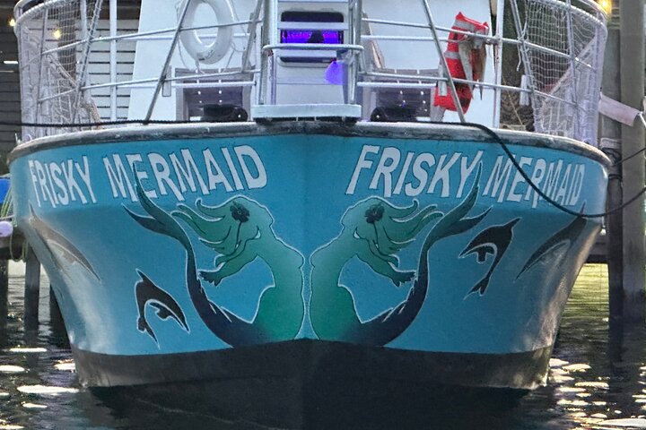 Shared Dolphin Cruise in Pensacola Beach | Frisky Mermaid