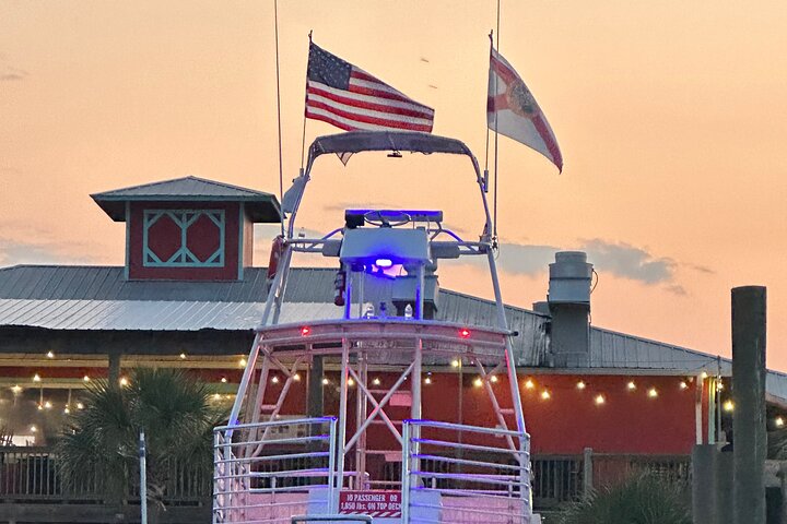 Shared Dolphin Cruise in Pensacola Beach | Frisky Mermaid