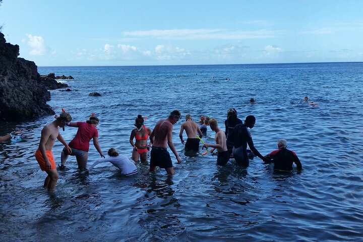 Shoreside Fun-Day with Titou Gorge, Hot Springs & Champagne Reef