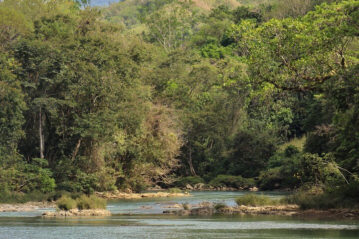 Cultural Walk and Natural Beauty near Semuc Champey