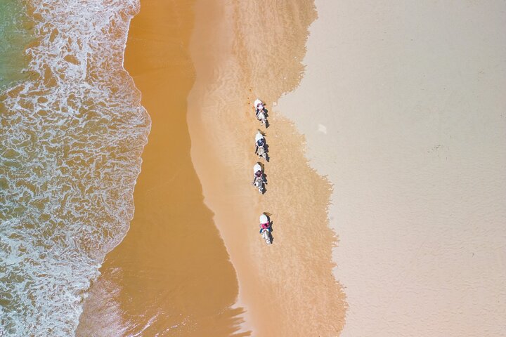 Horseback Riding, 4 Options-Mountain, Lesson Ring, Beach (2Hours)