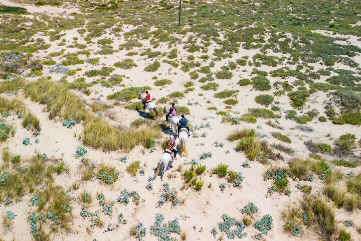 Horseback Riding, 4 Options-Mountain, Lesson Ring, Beach (2Hours)
