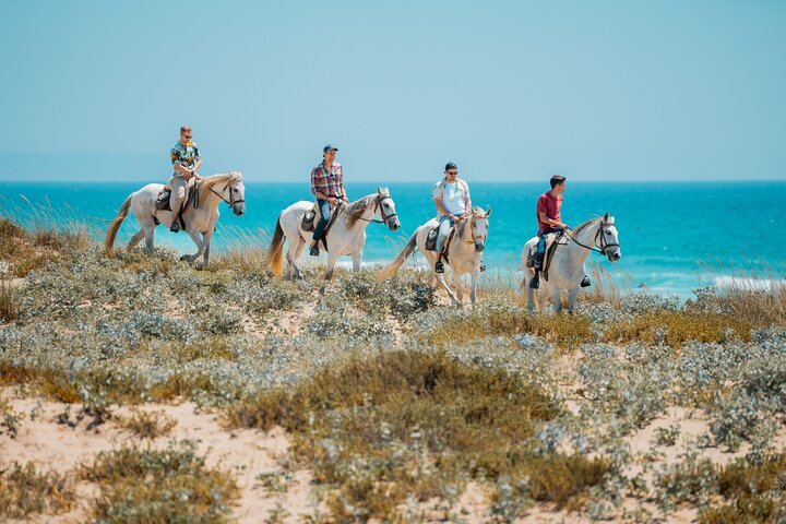 Horseback Riding, 4 Options-Mountain, Lesson Ring, Beach (2Hours)