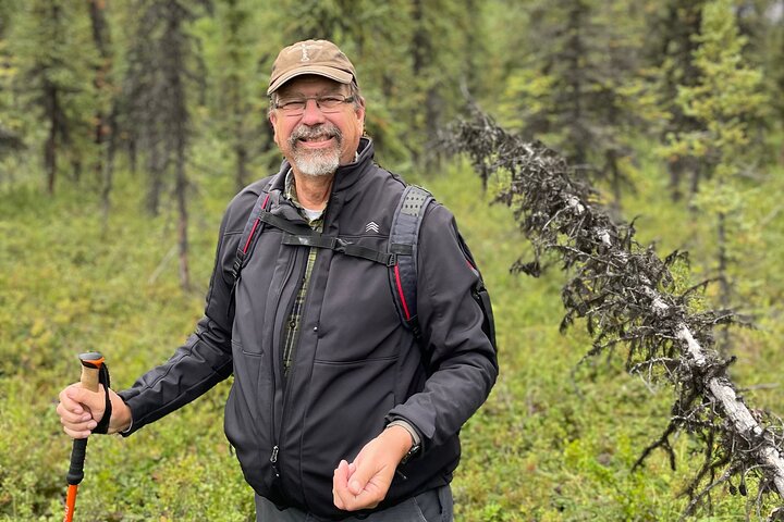 Denali Park Nature Walk (3 Hours) w/Expert Naturalist