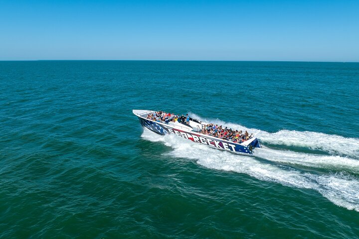 45-Minute Sea Rocket Speed Boat & Dolphin Cruise in Ocean City MD