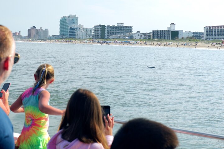 45-Minute Sea Rocket Speed Boat & Dolphin Cruise in Ocean City MD