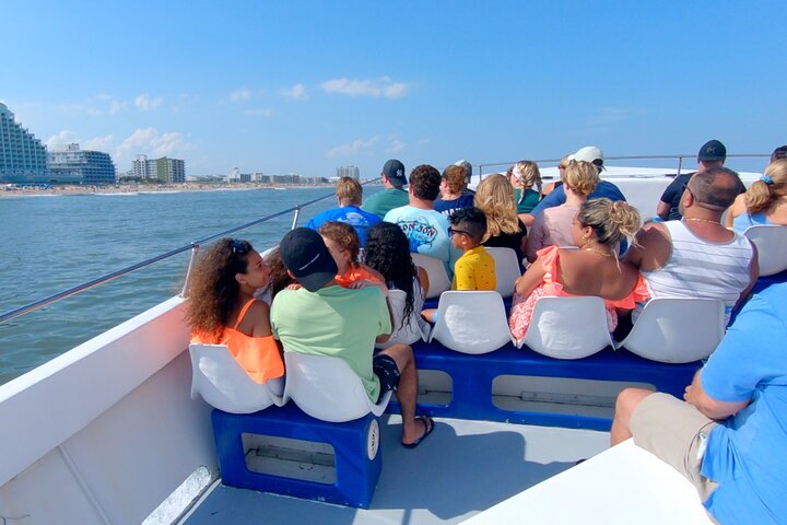 45-Minute Sea Rocket Speed Boat & Dolphin Cruise in Ocean City MD