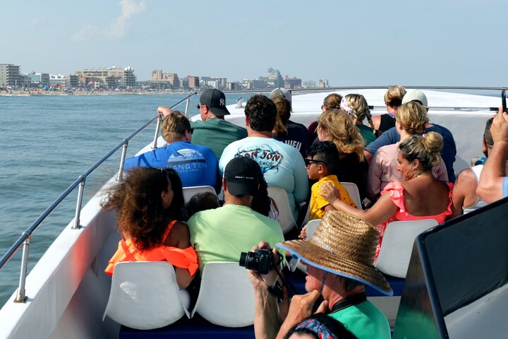 45-Minute Sea Rocket Speed Boat & Dolphin Cruise in Ocean City MD