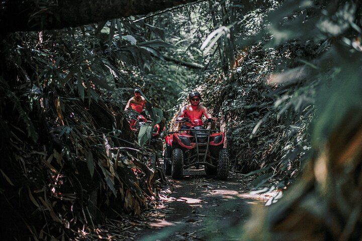 Ubud ATV Quad Bike Adventure with Gorilla Cave and Lunch