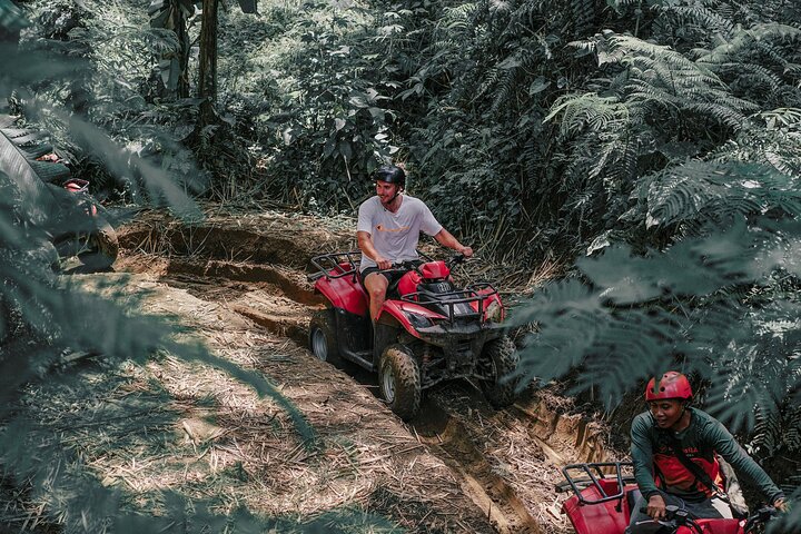 Ubud ATV Quad Bike Adventure with Gorilla Cave and Lunch