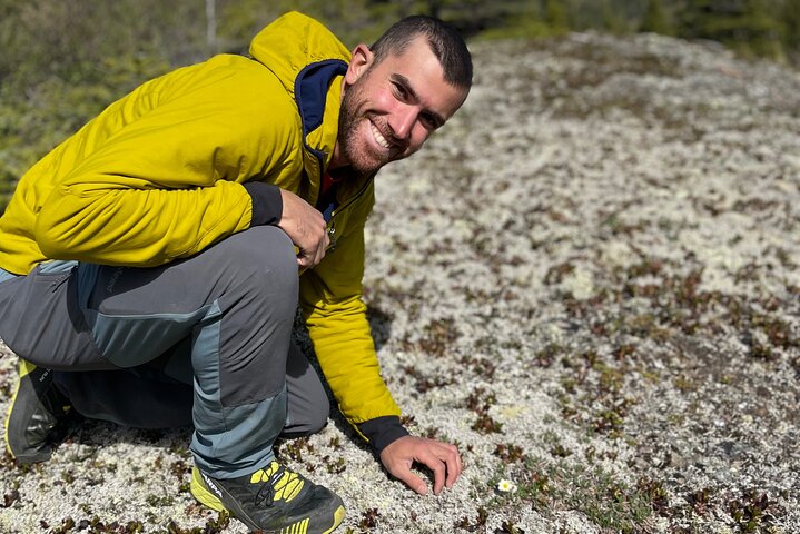 Denali Park Nature Walk (3 Hours) w/Expert Naturalist