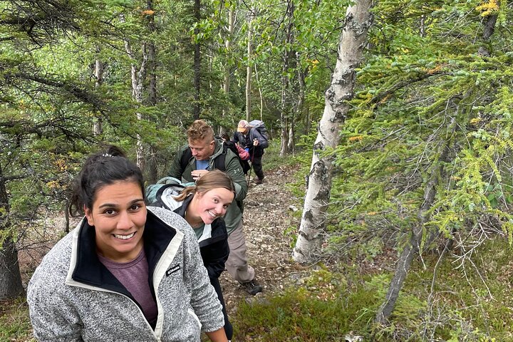 Denali Alaska Range 5hr Mountain Hike w/Views & Naturalist Guide