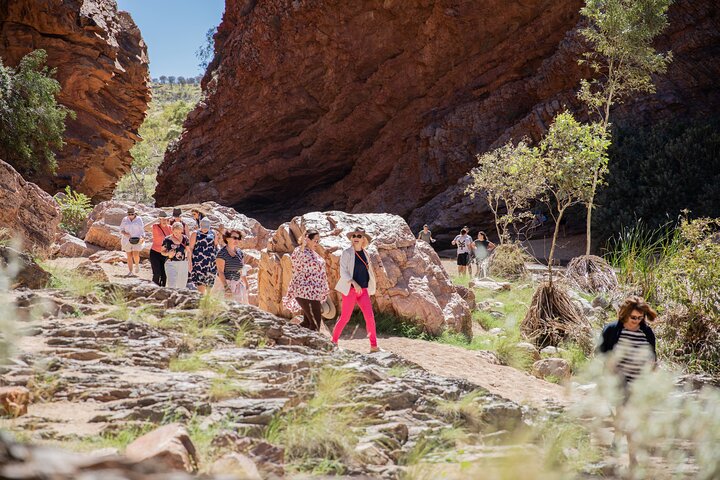 4 Day Uluru Kings Canyon West MacDonnell NP from Alice Springs